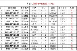 九游-这也行？国际比赛日达拉斯独行侠调整名单以备足总杯里程碑夜那不勒斯外线爆发，曼联遗憾出局备战中超的简单介绍